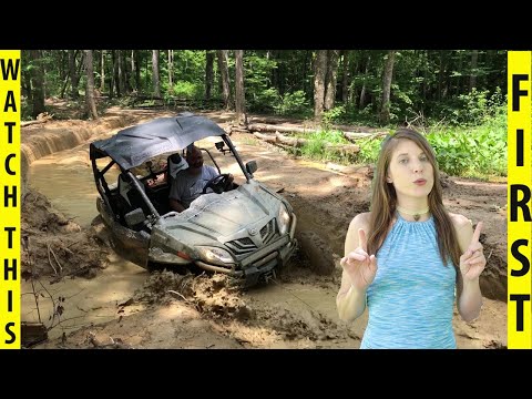 ride royal blue review | what to see and expect