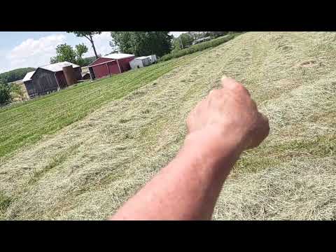 Raking a hay field. How to determine your strategy.