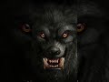 Quotes Be Strong Animals Life Sigma Rules Lion Videos Leadership Motivational Videos
