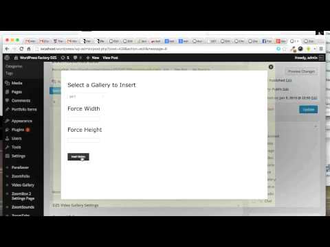 CodeCanyon, DZS ZoomSounds WordPress - How to setup gallery with changeable backgrounds