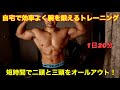 【苦手部位克服!】自宅で効率的に行う腕トレーニング