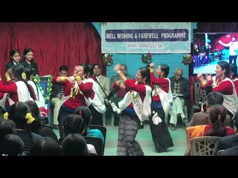 Nepali typical lok dohori song Kahako Saino by Bimal Pariyar & Shanti - School Programme Dance- HD