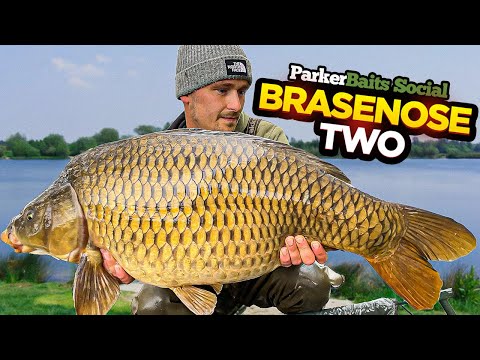 Parker Baits Social Carp Fishing At Linear Fisheries B2!