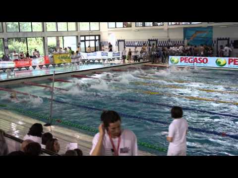 100 Stile Ferro Alberto