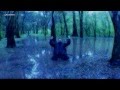 ANIMAL - Buscando llegar hasta el sol 