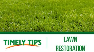 How To Restore a Lawn | Menards