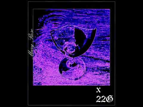 MARY ROSE FT 22G - LEDENA