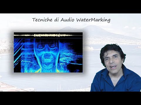 SIM - 13 - Multimedia WaterMarking