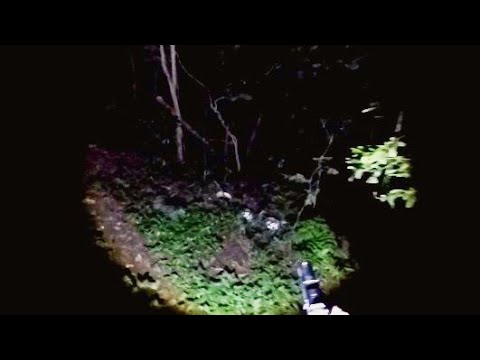 FUI SOZINHO NA FLORESTA ASSOMBRADA - ANDERSOM LIMINAL TUBER