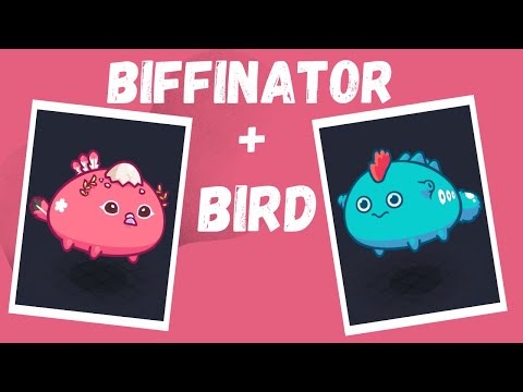 BIFFINATOR + BIRD META | AXIE INFINITY SEASON 20