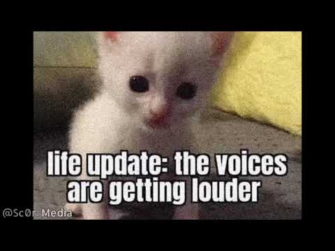 The voices are GETTING LOUDER