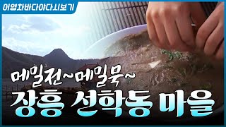 메밀꽃 한 가득! 메밀전에 메밀묵 한 사발하면서 가을 풍광 느긋하게 즐길 수 있는 이곳은? #장흥 #장흥군 …