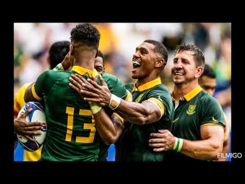 One Nation, One Dream ( Springbok Song)