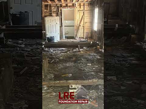 Complete Crawl Space & Subfloor Restoration in Tampa, FL