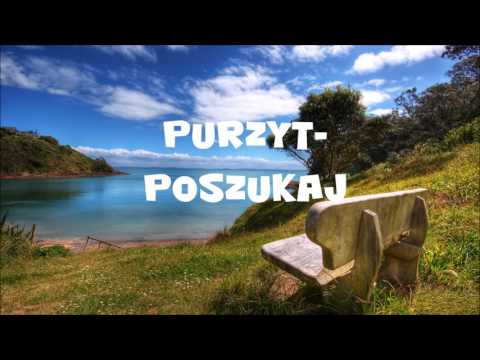 Purzyt-Poszukaj