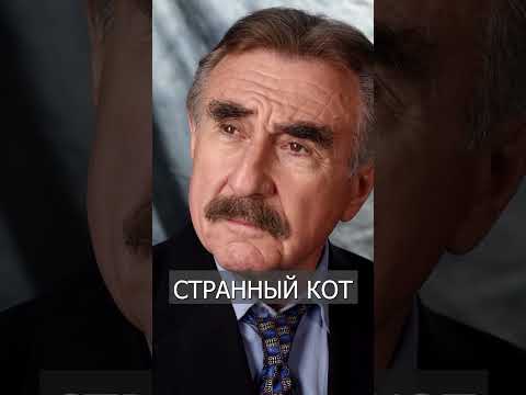 КОТ Каневского Замечен в Стамбуле