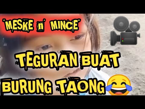 video-pendek-dari-meske-kusus-buat-burung-taong