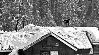 Nothing But the Chill