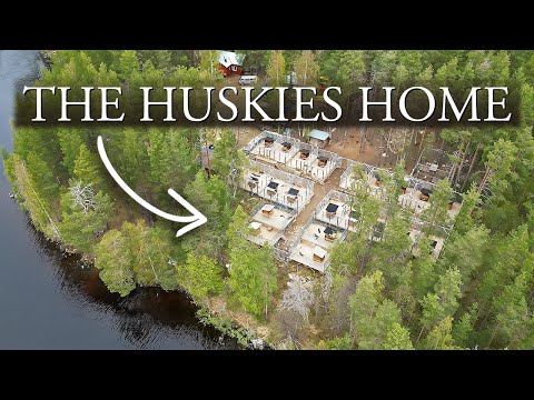 This Is How Our Siberian Huskies Live | See Our Husky Kennel Setup - Working Husky Kennel