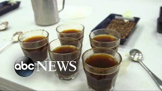 Famous Kopi Luwak from Indonesia Video