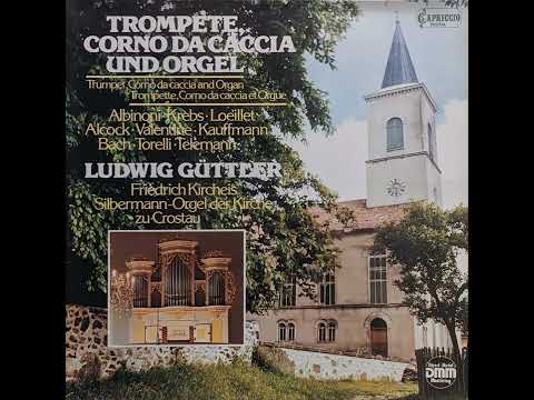 Ludwig Güttler, Friedrich Kircheis - Konzert D-Dur (Tomaso Giovanni Albinoni)