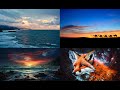Various Artists- Ultimate Classical Masterworks for the Natural World