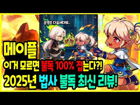 [메이플] "이것" 모르고 🔥불독 시작하면 100% 접습니다 👩‍🚀 하지만 돌고 돌아 불독인 이유🚀 [2025년 최신 법사 불독 리뷰]
