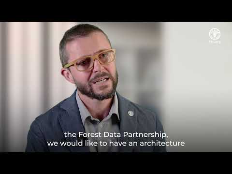 Can AI help to protect manage and restore forests? FAO ... - YouTube