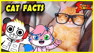 Combo Learns Cat Facts with Alpha Lexa ! Educational Video