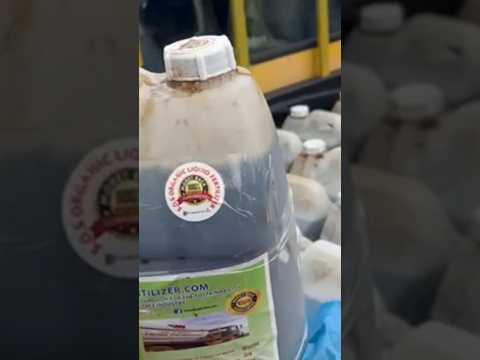 Transforming Borneo's Rainforest: Korabo Co-op's 3-Year FREE use of SOS ORGANIC FERTILIZER( JOIN US)