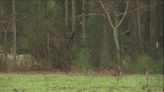 Candler County Puppy Mill