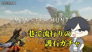 【MHWs/PC】なにかに使える護石を求めて【LIVE】