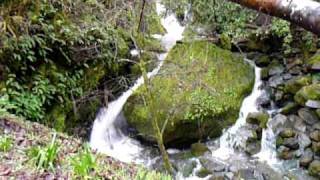 preview picture of video 'Cazadero Waterfall'