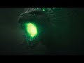 70 Years Of Godzilla A New Roar In Southeast Asia Short Film