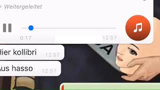 Kolibri Leak Kc Rebell Ufo 361