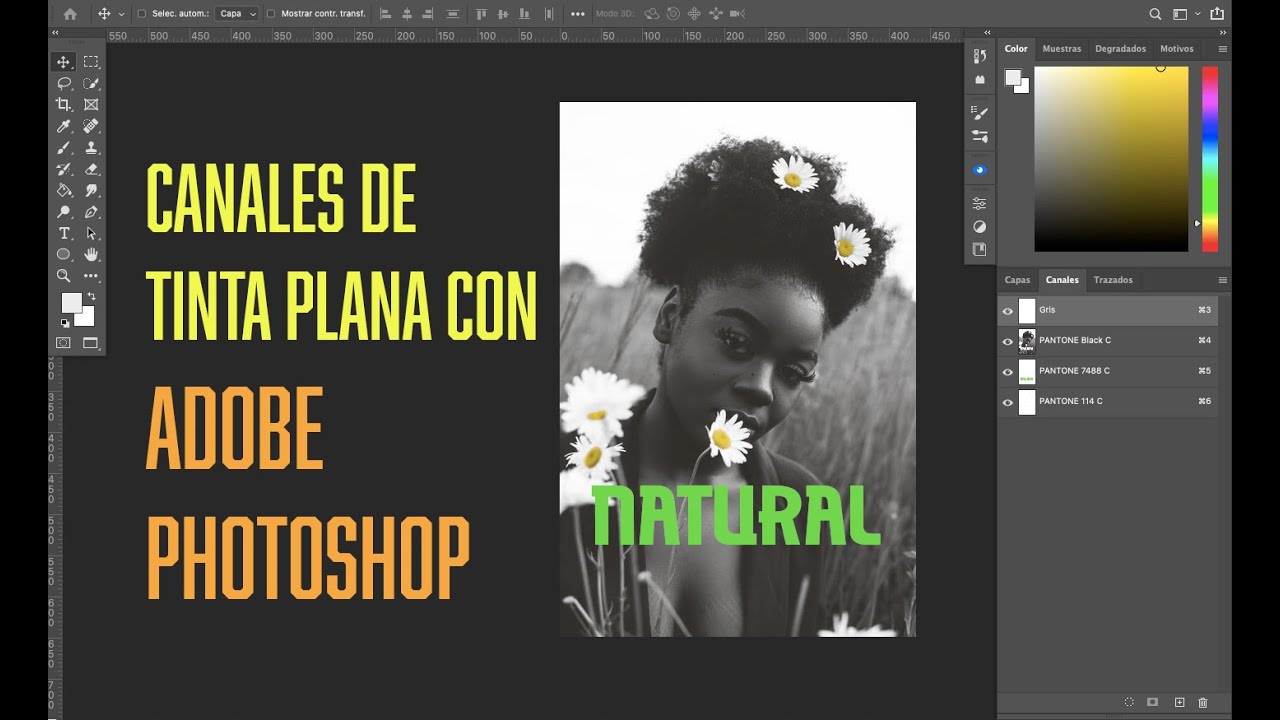 Adobe Photoshop - Canales de Tinta Plana