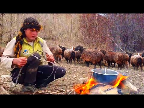 Shepherd's Young Boy Cooking Shepherd Food in the Nature | Afghanistan Village Life