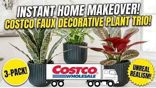 Costco Faux Decorative Plant Trio HOME MAKEOVER
