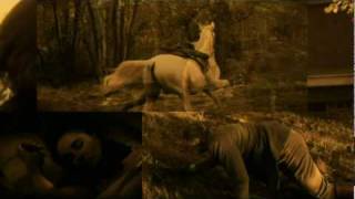 Manic Street Preachers - Marlon J.D