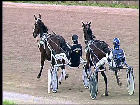 Trotto 01/04/2016 - 1° Corsa