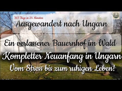 Abandoned #FARM in the forest🏚️#NEWBEGINNING in the #forest🏚️🌳-Our #life in #Hungary🇭🇺A stressful...