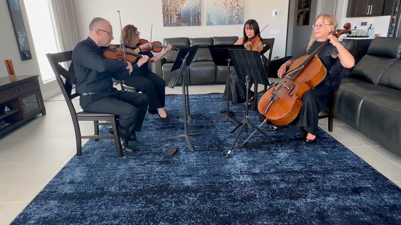 Promotional video thumbnail 1 for Avanti Strings