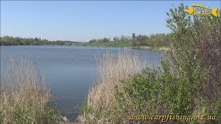 Ссылка
