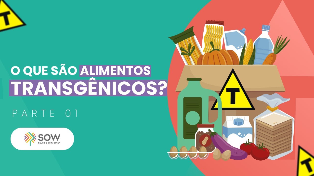 O que são alimentos transgênicos? - Parte 1 Programa Vida e Saúde (17/07/23)