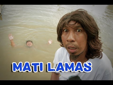 mati-lamas-i-ar-cell