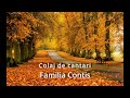 Collage Of Songs 2025 Conțiș Family