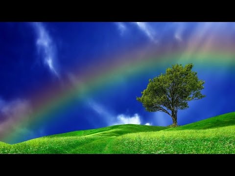 Grupa I - Radość o poranku