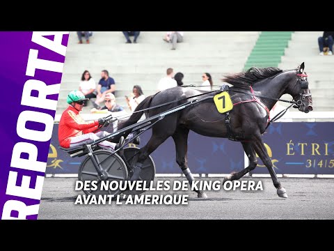 KING OPÉRA, LA FUTURE BELLE SURPRISE DU PRIX D'AMÉRIQUE LEGEND RACE ?