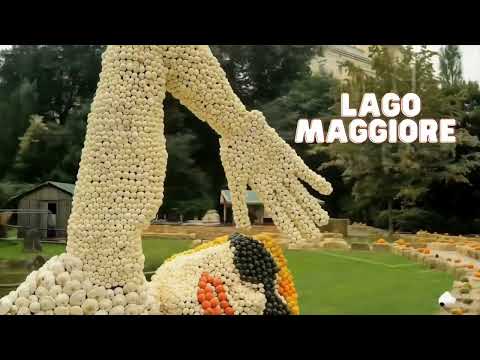 Accademia Borgomanero, rotonda vittoria contro la Pro Eureka