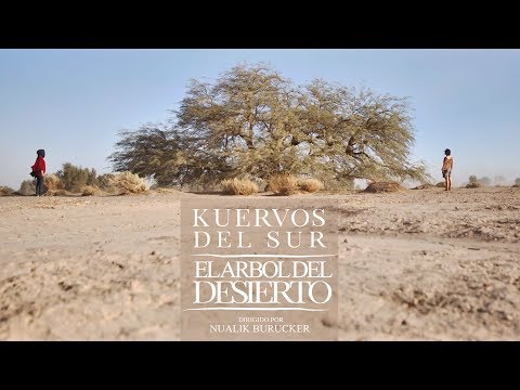 Kuervos del Sur - El árbol del desierto